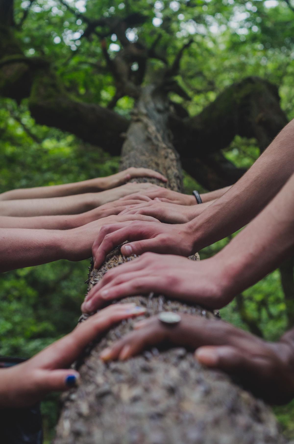 Image depicting support for mental health with diverse people holding hands and smiling